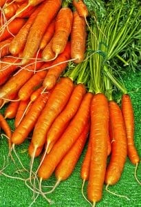 Zanahorias
