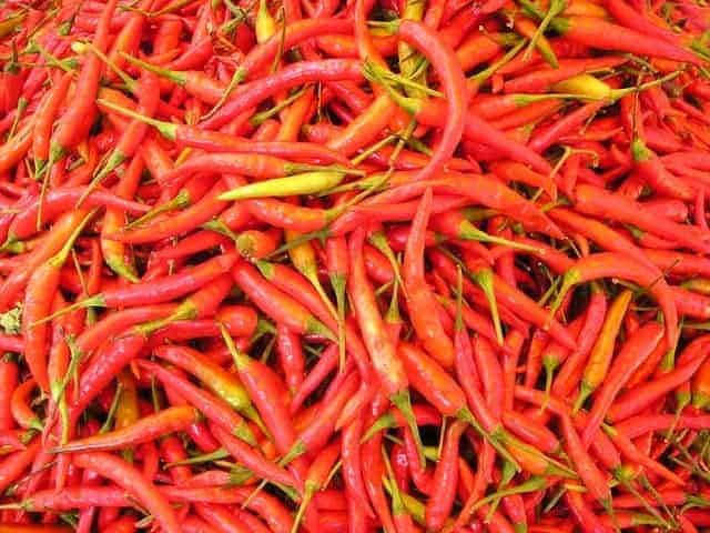 chilli pepper 449 640