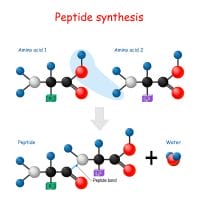  síntesis de péptidos