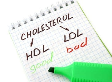  colesterol bueno y colesterol malo