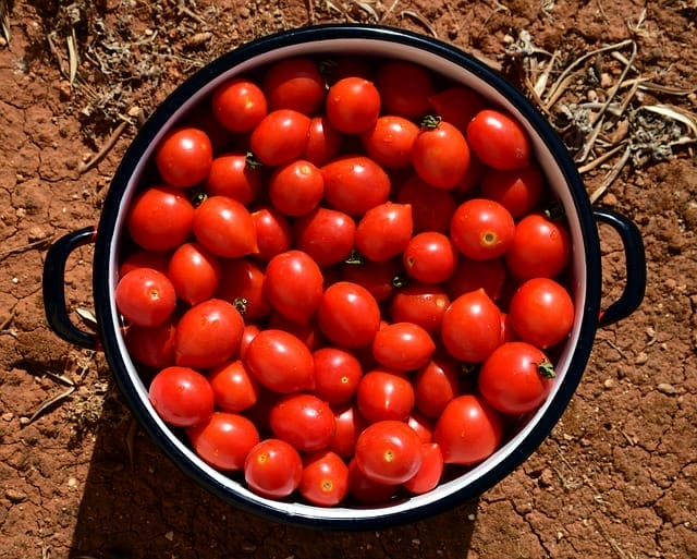  Tomates a la cazuela