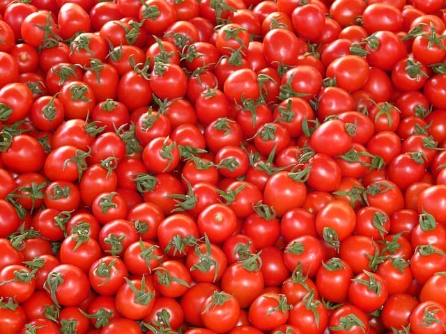  tomates