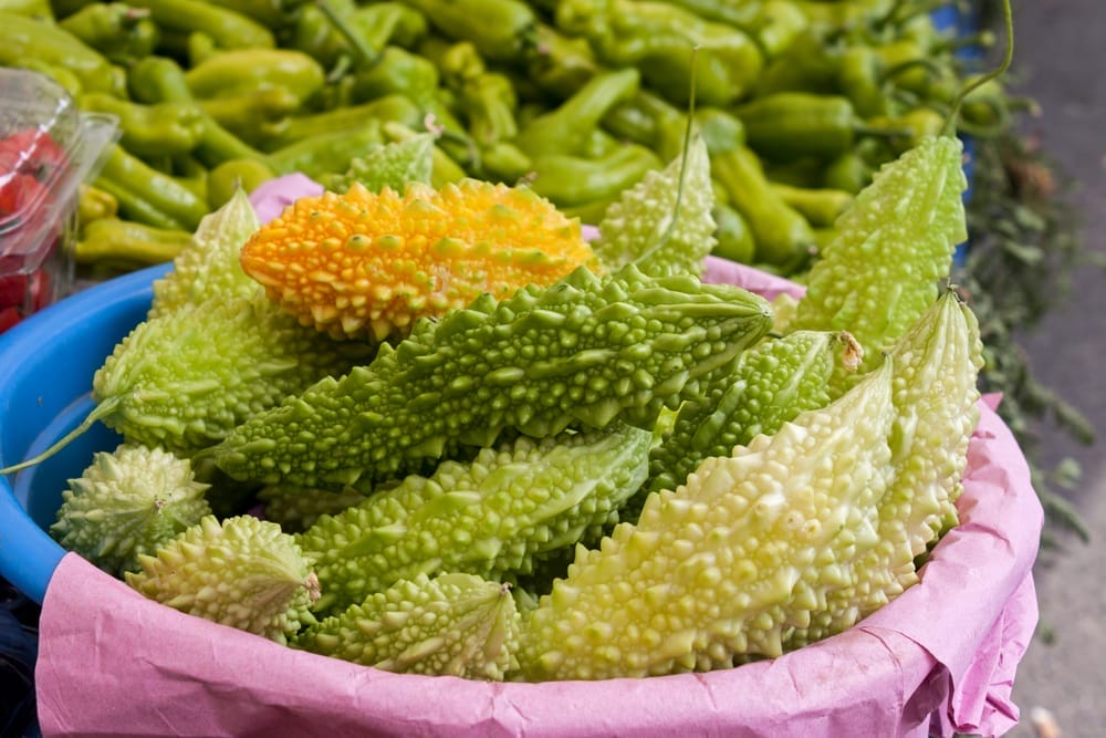 Pickleweed (bálsamo del pepino)